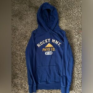 Goodfellow & Co. Blue Hoodie Sweater